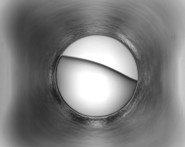 X0000096420209200801241010