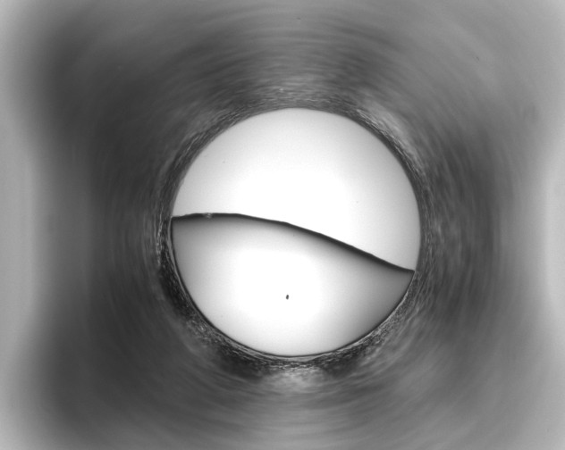 X0000096420210200801241010