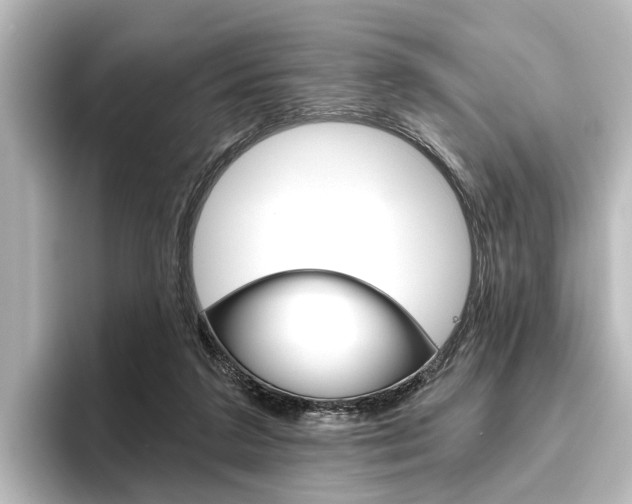 X0000096420211200801241010