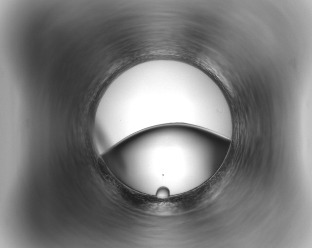 X0000096420212200801241010