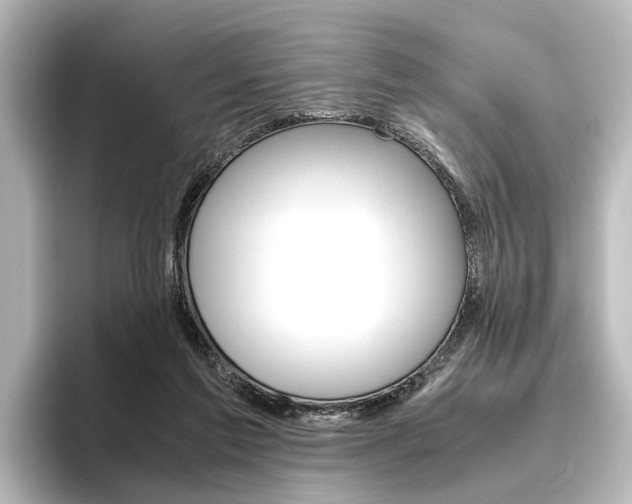 X0000096420213200801241010