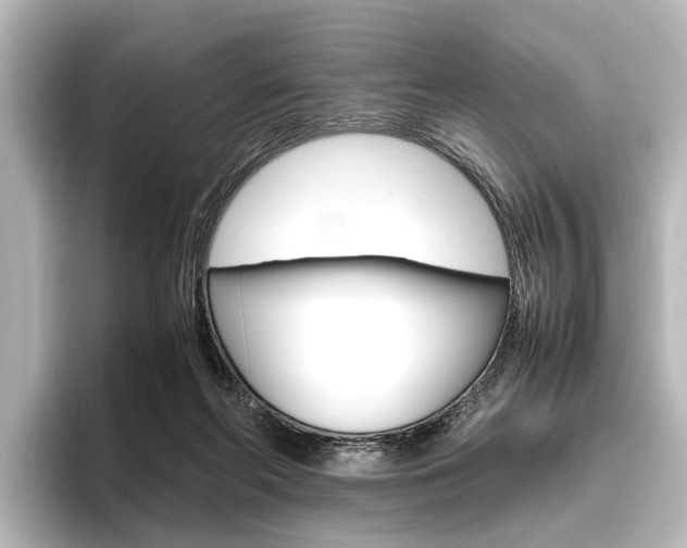 X0000096420214200801241010