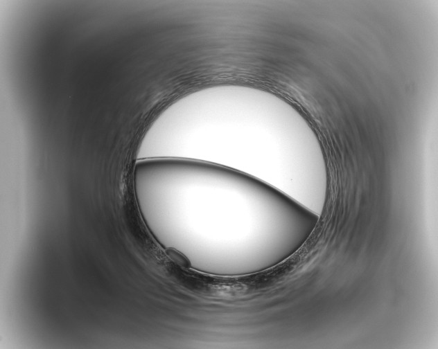 X0000096420215200801241010