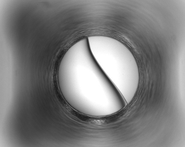 X0000096420217200801241010