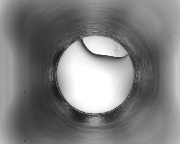 X0000096420218200801241010