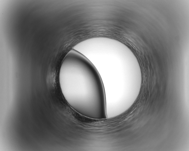 X0000096420219200801241010