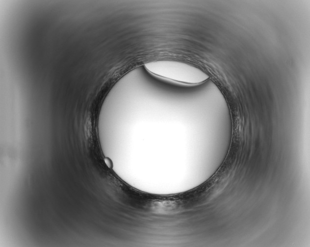 X0000096420220200801241010