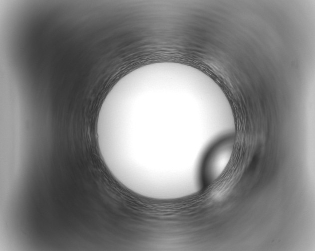 X0000096420221200801241010