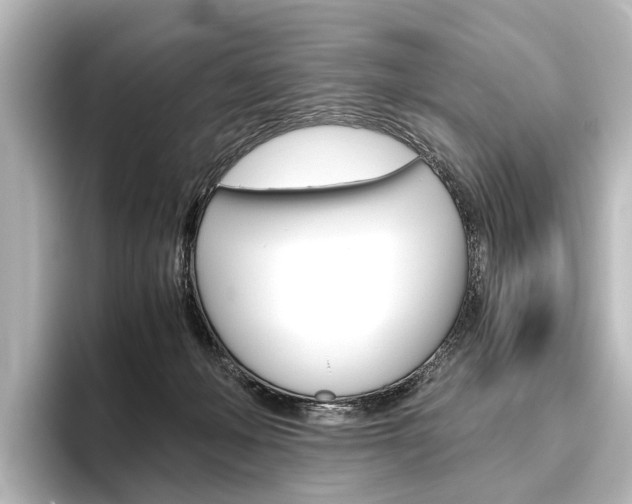 X0000096420222200801241010