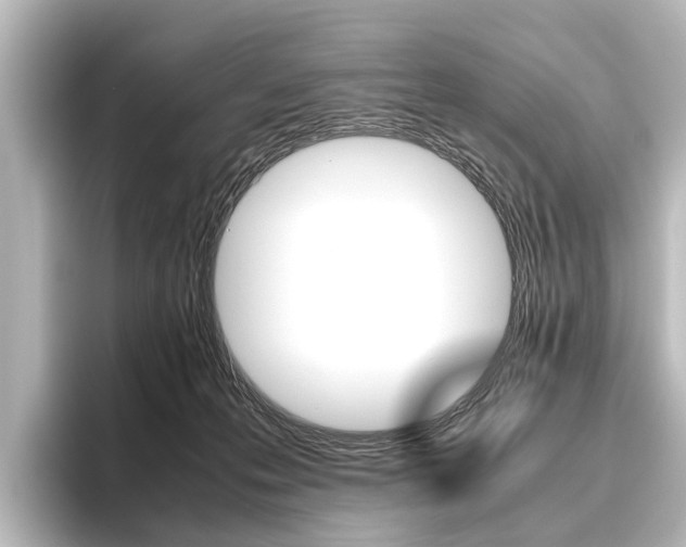 X0000096420223200801241010