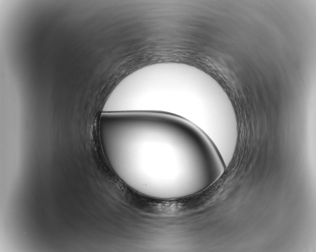 X0000096420225200801241010