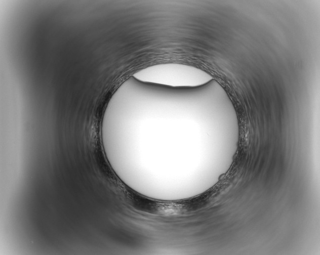 X0000096420226200801241010