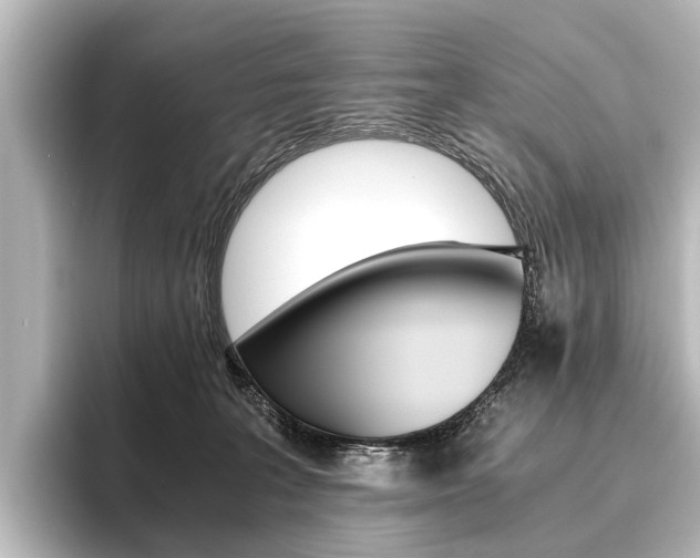 X0000096420227200801241010