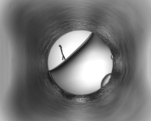 X0000096420228200801241010