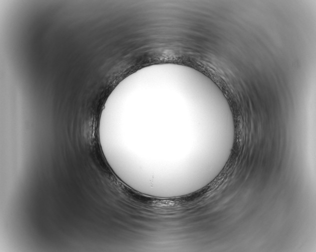 X0000096420230200801241010