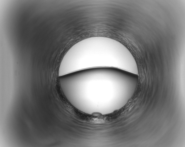 X0000096420232200801241010