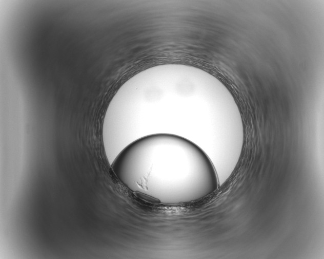 X0000096420233200801241010