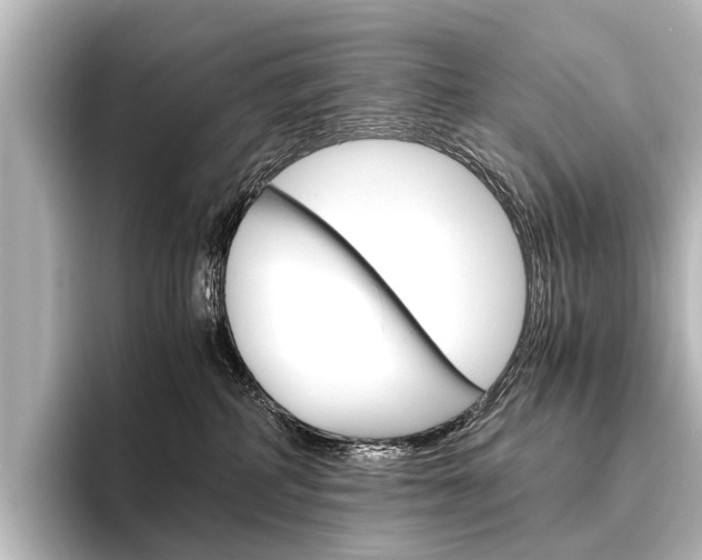 X0000096420234200801241010
