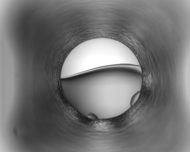 X0000096420235200801241010