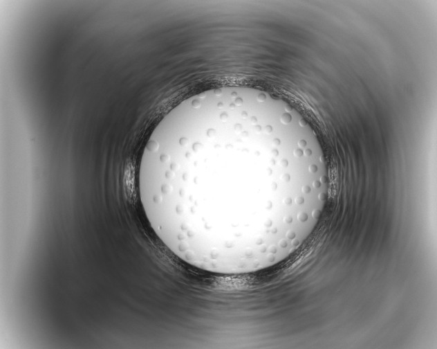 X0000096420238200801241010