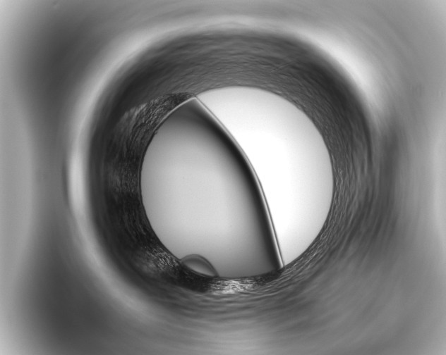 X0000096420239200801241010