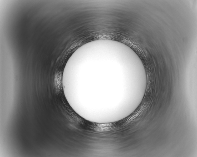 X0000096420240200801241009