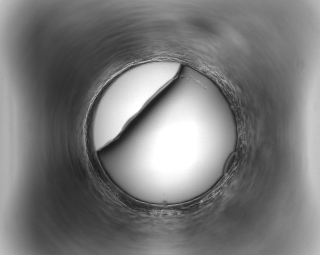 X0000096420242200801241009