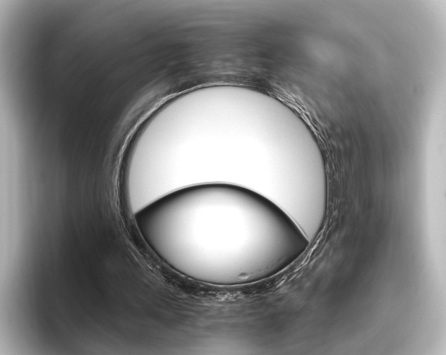 X0000096420243200801241009
