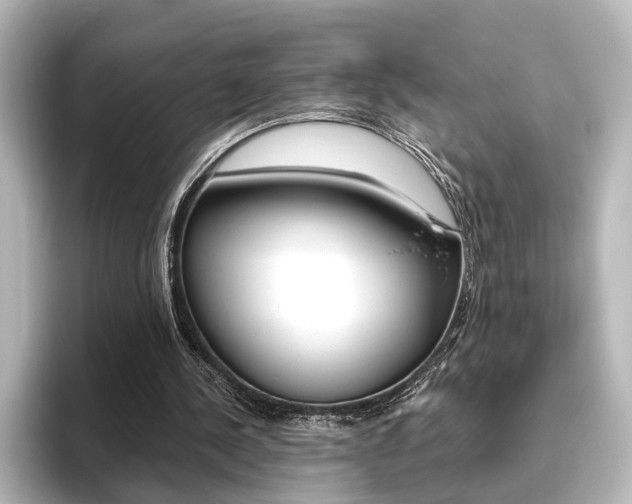 X0000096420244200801241009