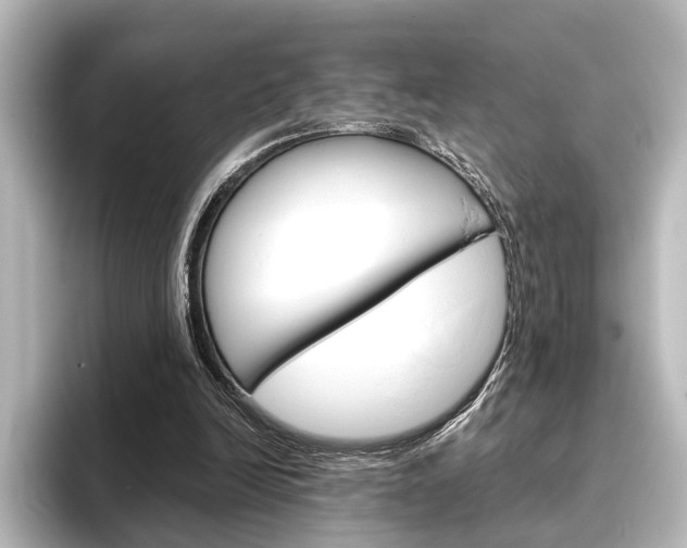 X0000096420246200801241009