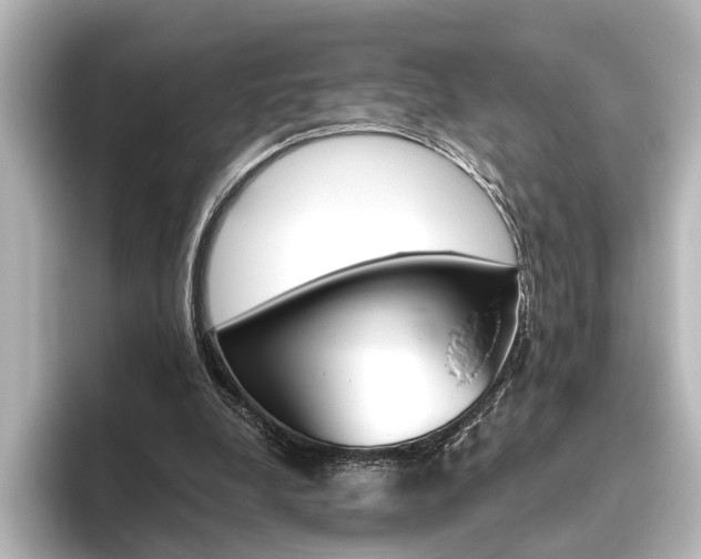 X0000096420248200801241009