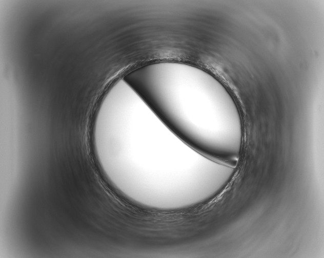 X0000096420249200801241009