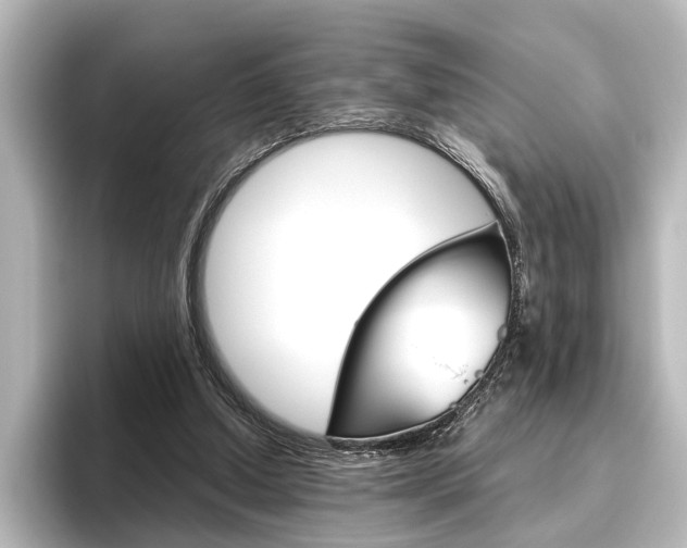 X0000096420250200801241009