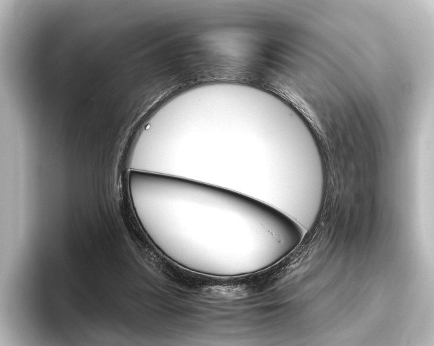 X0000096420251200801241009