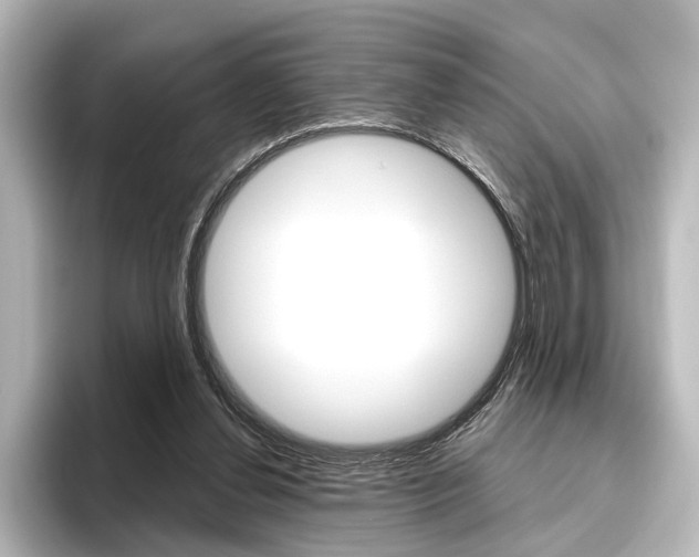 X0000096420252200801241009