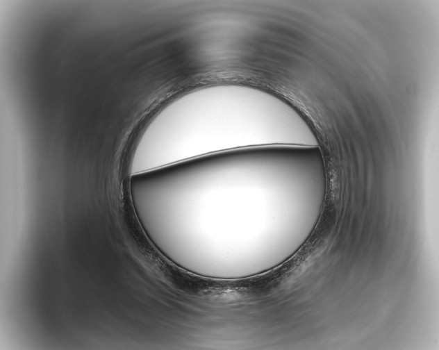 X0000096420254200801241009