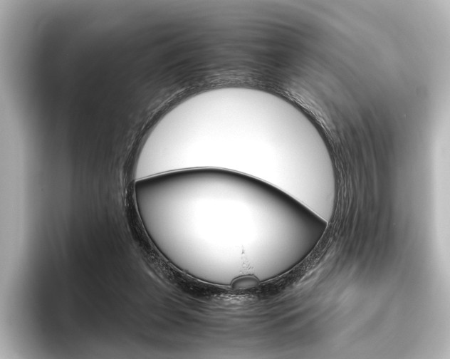 X0000096420255200801241009