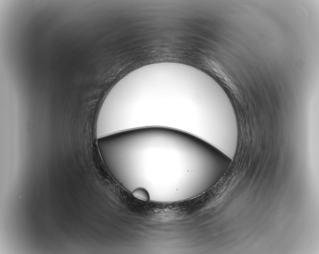 X0000096420259200801241009