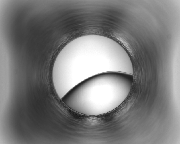 X0000096420261200801241009