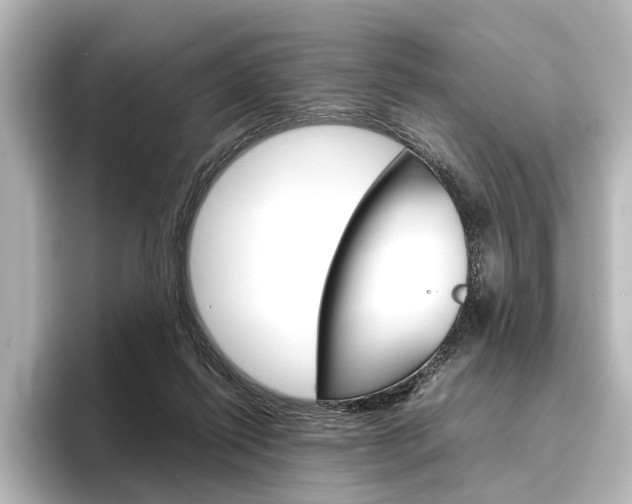 X0000096420262200801241009