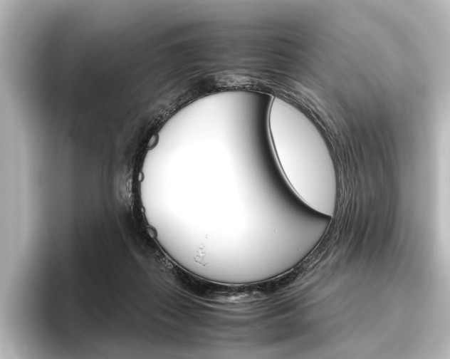X0000096420267200801241009