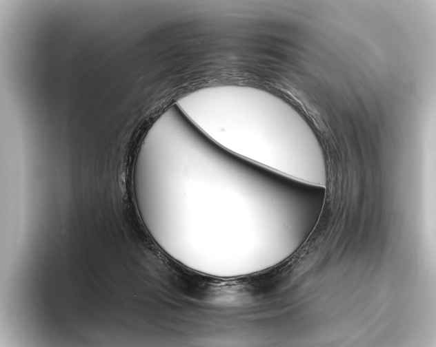 X0000096420269200801241009
