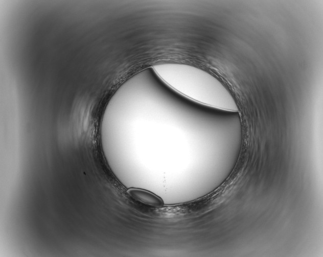 X0000096420273200801241009