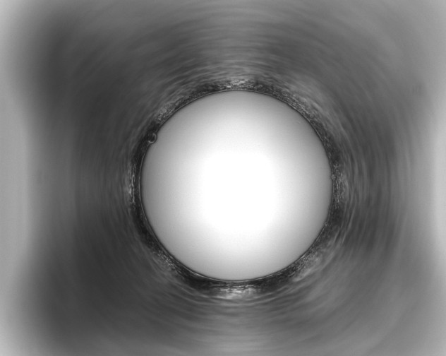 X0000096420274200801241009