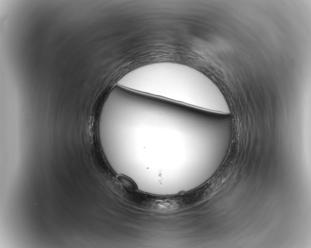 X0000096420275200801241009