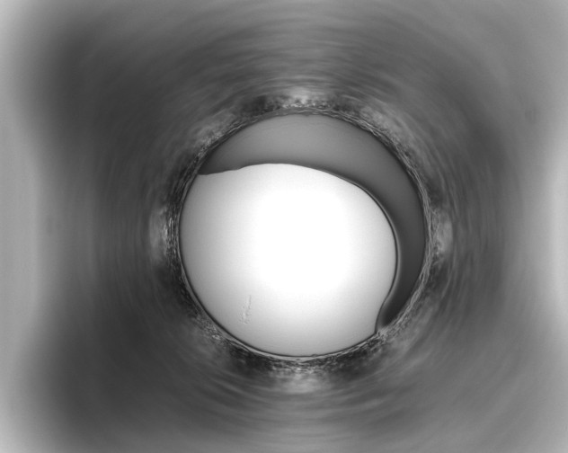 X0000096420276200801241009