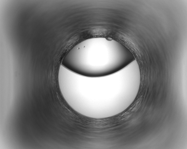 X0000096420277200801241009
