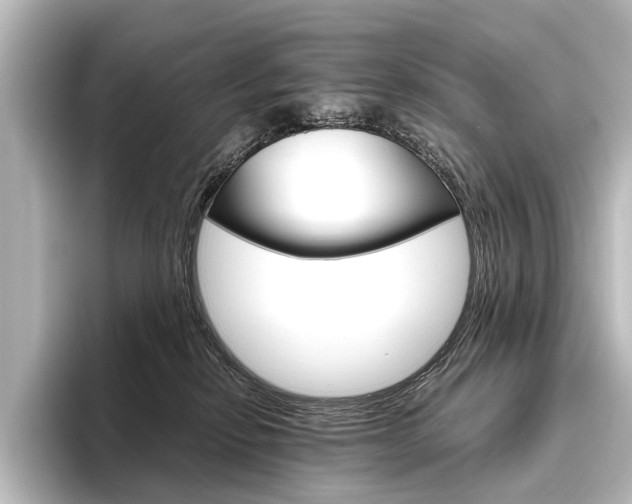 X0000096420278200801241009