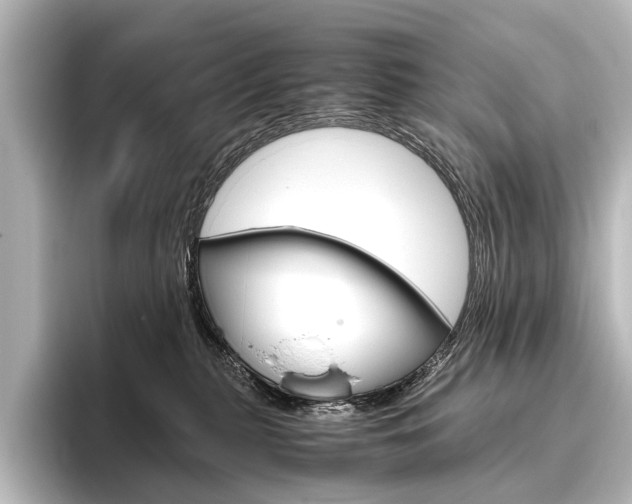 X0000096420279200801241009