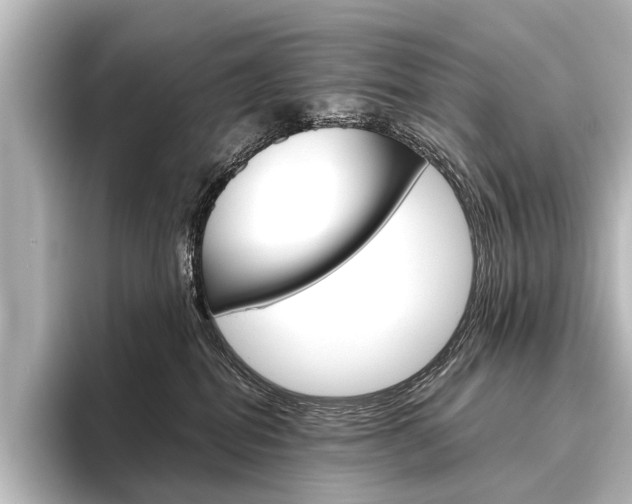 X0000096420282200801241009